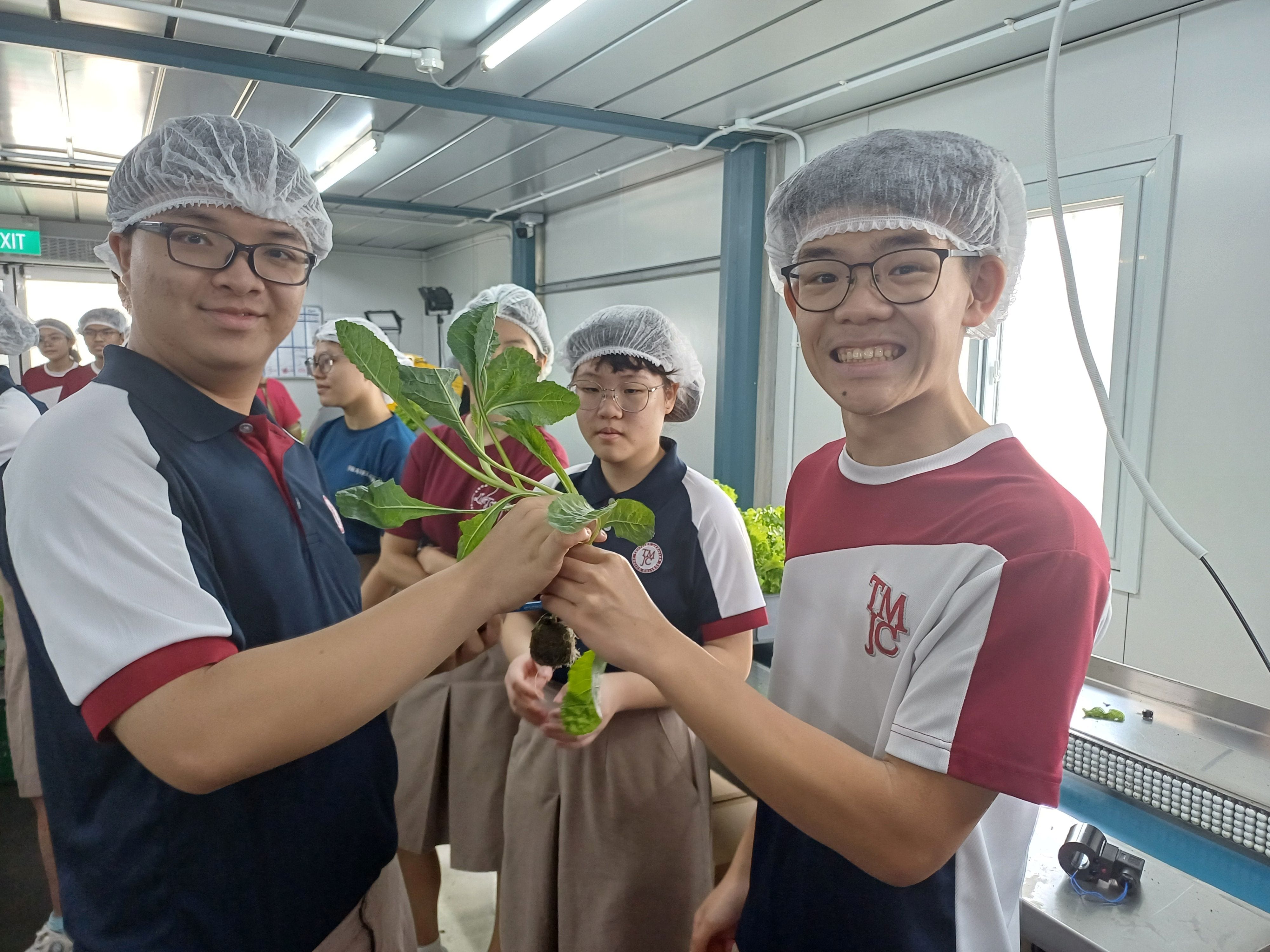 Two smiling students in school uniforms and white hairnets hold up a freshly harvested leafy vegetable plant together inside an indoor urban farm facility. Several other students in hairnets are visible in the background, with rows of hydroponic growing trays along the wall.
